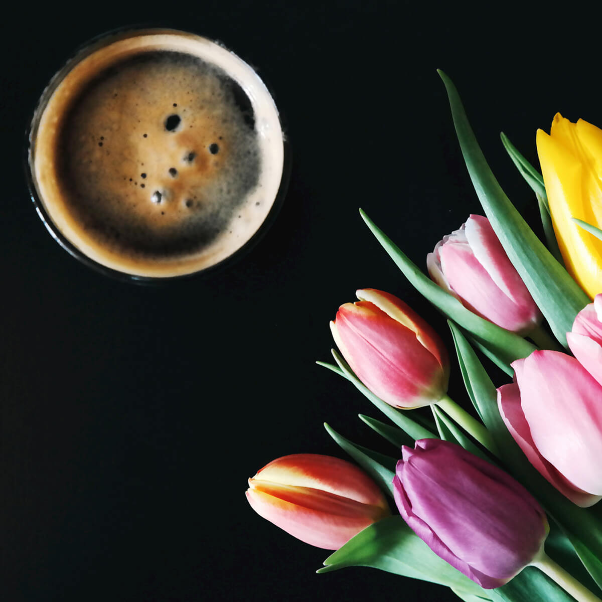 Projekt Caffeine & Tulips